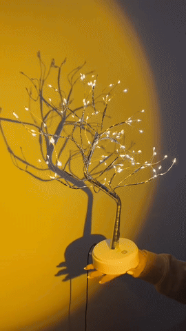 Image with text section