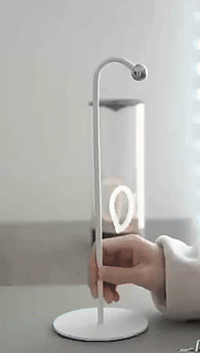 Image with text section