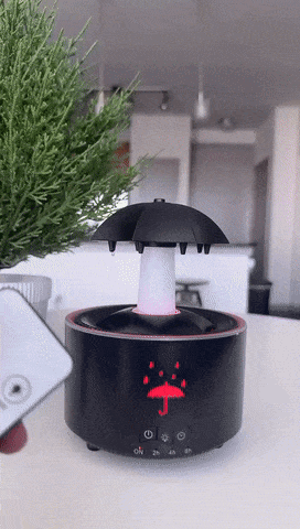 Image with text section